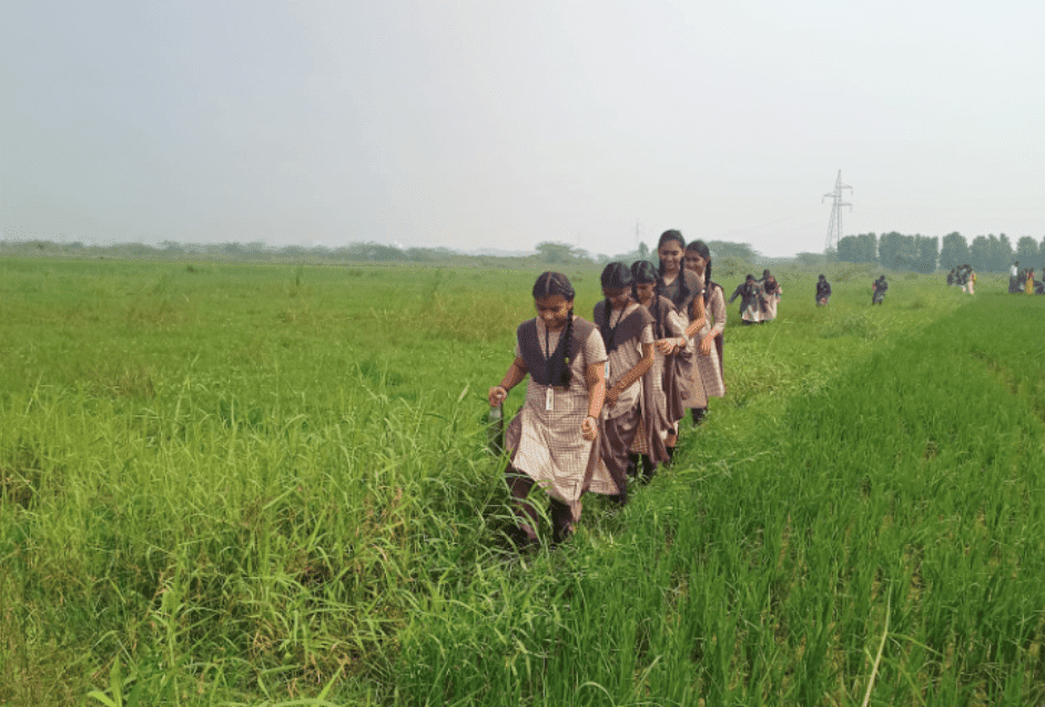 Bunch of Children participating in eco-friendly activities